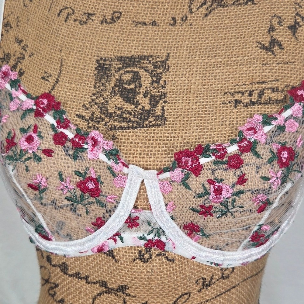 Floral Embroidered Mesh Bra Med White Red Pink Sheer Underwire Romantic Dainty